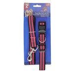 Set-collar-y-correa-para-perro-PUPPY-0
