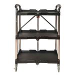 Carro-BRICOTECH-utilitario-plegable-665x425x845mm-0