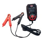 Carga-de-bateria-inteligente-6-12V-2A-0