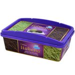 Helado-CRUFI-italiano-preto-y-pistacho-1-L-0