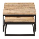 Set-de-2-mesas-de-centro-en-hierro-y-madera-0