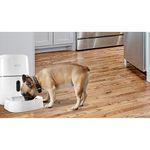 Dispensador-de-alimentos-NEXXT-home-Smart-Mod-NHA-P610-1