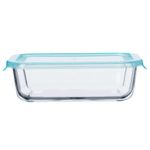 Contenedor-22x149x64-cm-con-tapa-hermetico-0