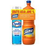 Pack-desinfectante-AYUDIN-aerosol---jane-1-L-gratis-0
