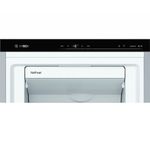Freezer-BOSCH-Mod-GSN36AIEP-Inoxidable-242-L-2