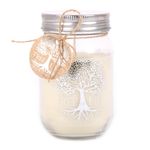 Vela-mason-jar-7x12-cm-0