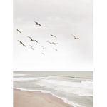 Lamina-60x80-cm-playa-0