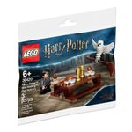 LEGO-Builder-bags-lechuza-repartidora-40-piezas-0