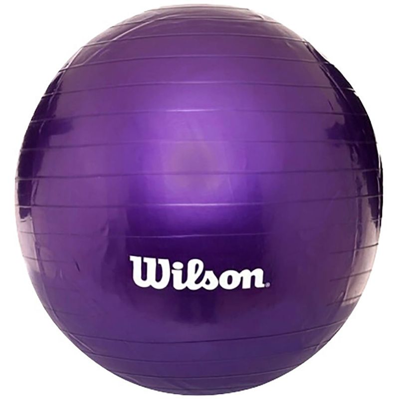 Pelota-de-pilates-WILSON-55-cm-con-inflador-1