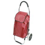 Carro-para-compras-reforzado-aluminio-0