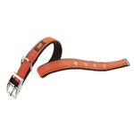 Collar-de-nylon-para-perros-Dual-cf25-45-anaranjado-0