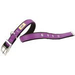 Collar-de-nylon-para-perros-Dual-cf20-43-violeta-0