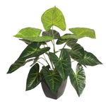 Planta-artificial-caladium-50cm-0