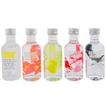 Vodka-Absolut-five-mini-pack-0