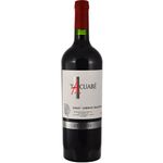 Tinto-Tannat-Cabernet-Sauvignon-Tacuabe-0