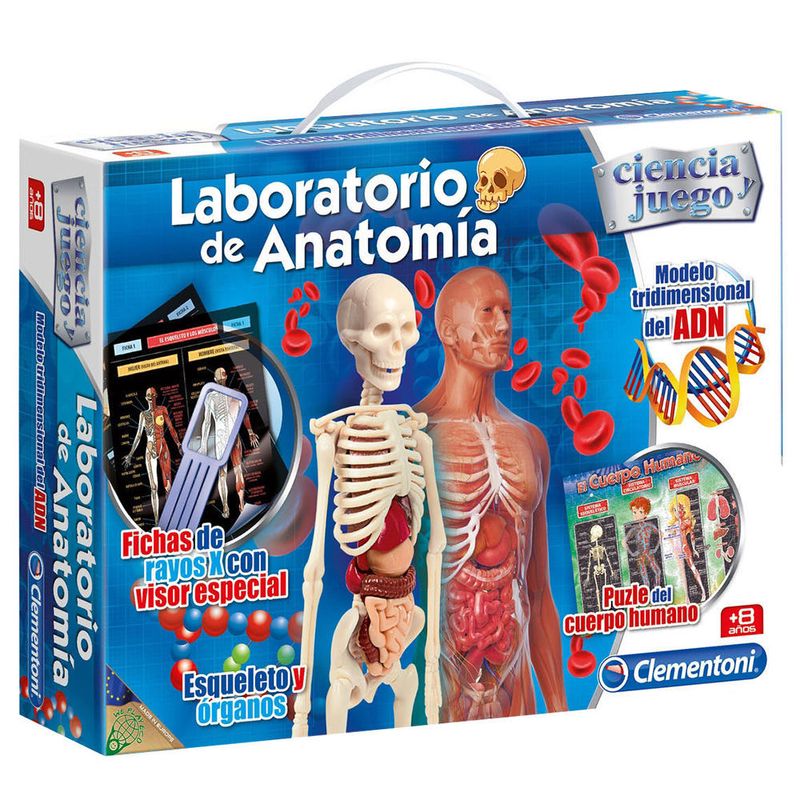 Laboratorio-de-anatomia-1