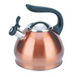 Caldera-3L-acero-inoxidable-varios-colores-0