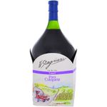 Vino-Tinto-Tannat-H-Stagnari-2-L-0