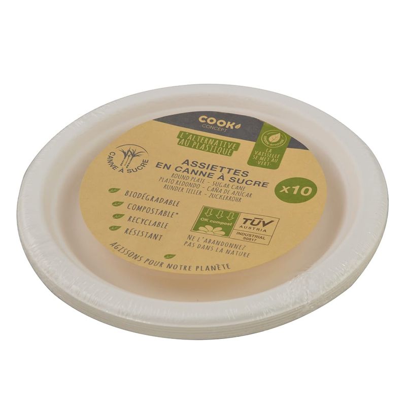 Plato-en-caña-de-azucar-174x174x2-cm-x-10-un-0