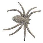 Araña-chica-en-blister-5