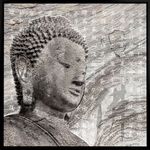 Lamina-buda-con-marco-50x50x25-cm-0