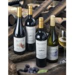 Tinto-Pinot-Noir-Alamos-0