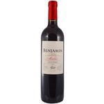 Tinto-Malbec-Syrah-Benjamin-0