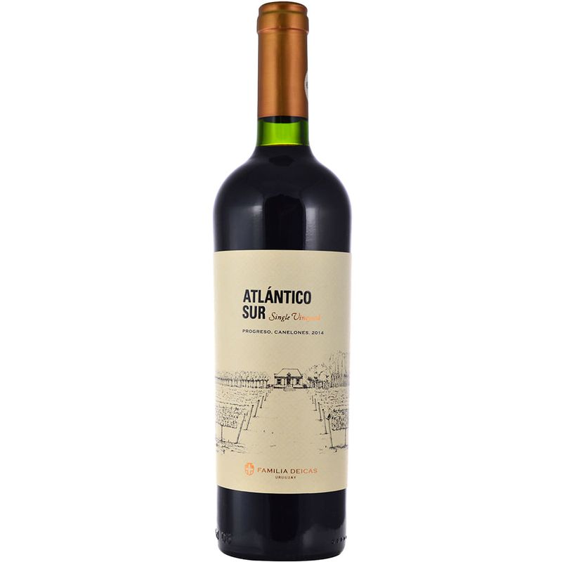 Vino-Tinto-Progreso-Atlantico-Sur-750-ml-0