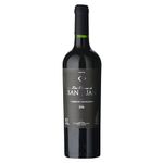Tinto-Cabernet-Sauvignon-Los-Cerros-de-San-Juan-0