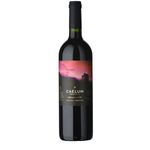 Malbec-RESERVA-CAELUM-Tinto-750-cc-0