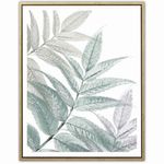 Lamina-con-marco-40x50-cm-hojas-0