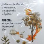 Te-CANARIAS-marcela-10-un-1