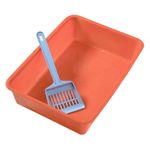 Pack-bandeja---pala---piedras-sanitarias-1