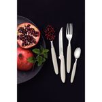 Juego-de-cubiertos-24-piezas-Ipanema-TRAMONTINA-5