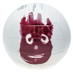 Pelota-WILSON-Castaway-0