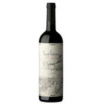 Tinto-Cabernet-Sauvignon-Saint-Felicien-0