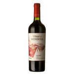 Vino-tinto-Malbec-VIÑAS-DE-MENDOZA-750-ml-0