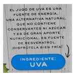 Jugo-de-uva-TRES-PALMAS-200-ml-2