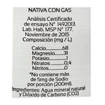 Agua-NATIVA-con-gas-165-L-1