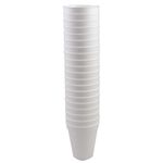 Vaso-termico-180-ml-20-un-0