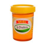 Miel-LA-PRADERA-180-g-0