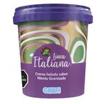Helado-CRUFI-Linea-Italiana-menta-granizada-300-g-1