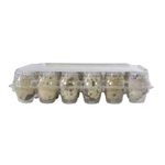 Huevos-de-codorniz-ALMAJOR-24-un-2