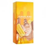 Paleta-Vegana-HAULANI-Maracuya-y-Curcuma-pk-x3-un-0