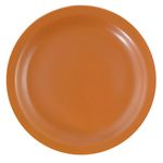 Plato-llano-24-cm-terracota-0