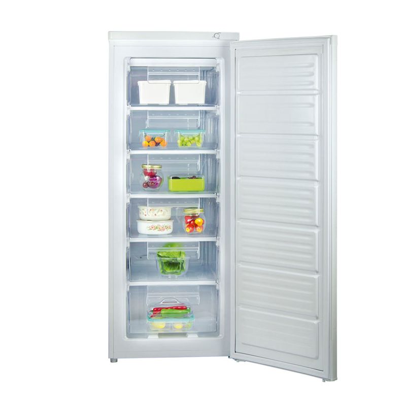 Freezer-vertical-TEM-ModT0UFRV2505001-FH-165-L-1