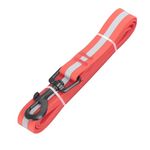Correa-para-mascota-2x120-cm-0