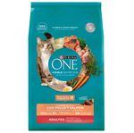 Alimento-ONE-gato-pollo-y-salmon-2-kg-0