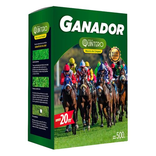 Caja de césped ganador QUINTERO 500 g