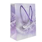 Bolsa-de-Regalo-Estampado-18x24x85-cm-0
